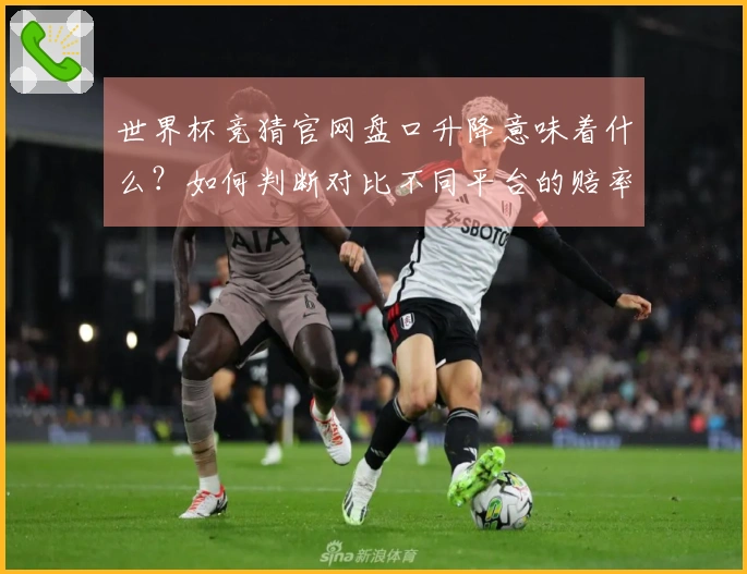 世界杯竞猜官网盘口升降意味着什么？如何判断对比不同平台的赔率？