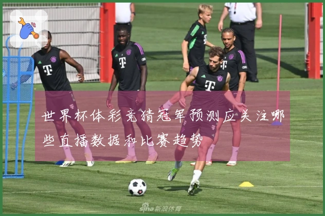 世界杯体彩竞猜冠军预测应关注哪些直播数据和比赛趋势
