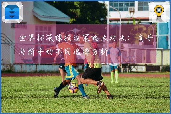世界杯滚球投注策略大对决：高手与新手的不同选择分析